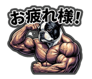 812753115
