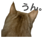 812754868