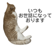 812754871
