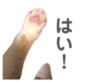 812754889
