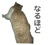 812754894