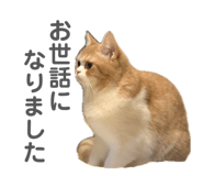 812754897