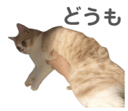 812754902