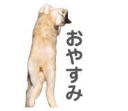 812754904