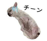812766943
