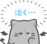 812771289