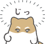812771291