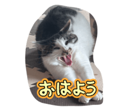 812771521