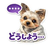812772304