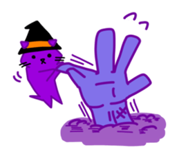 8127950