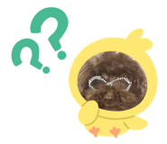812796558