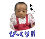 812798181