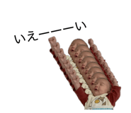 812798425