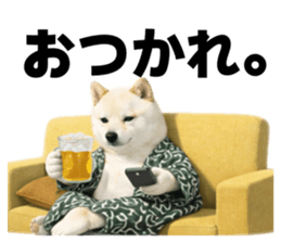 812814616