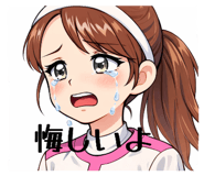 812814646