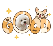 812866981