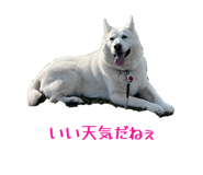 812876401