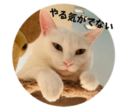 812885196