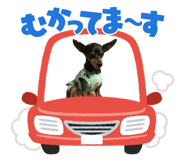 812887039