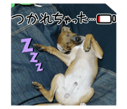 812887041