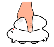 812906918