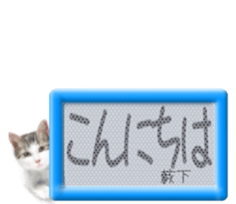 812929942