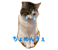 812951805