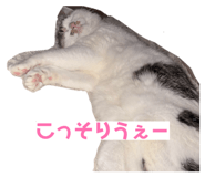 812951806