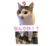 812951809
