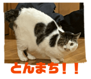 812951811