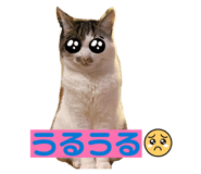 812951814