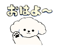812989185