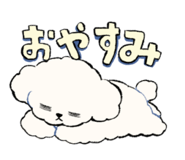 812989186