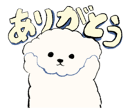812989187