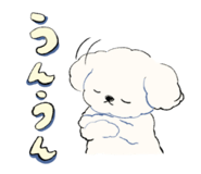 812989195