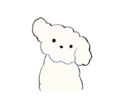 812989221