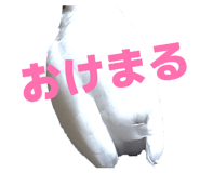 812997834