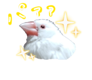 812997839