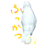 812997840