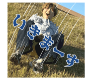 813033096