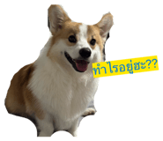 813035486