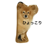 81313695