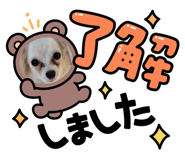 813183366