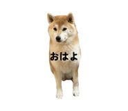 813208409