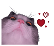 813224083