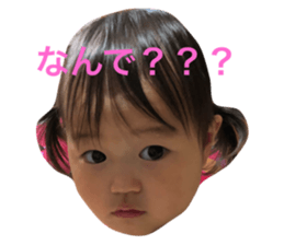 81325362