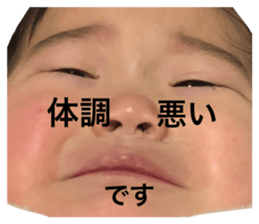 81325373