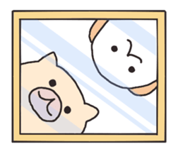 8132757