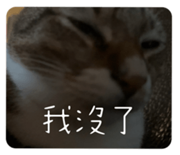 813290678