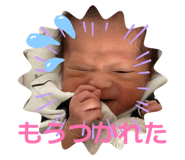 813306354